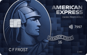 Blue Cash Preferred Card credit card