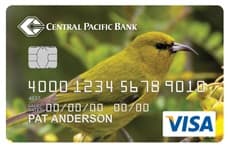 Secured Visa Card credit card