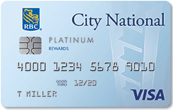 Visa Platinum Card credit card